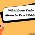 What Does Twin Mean in Text? 2026