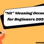 “Nit” Meaning Decoded for Beginners 2026