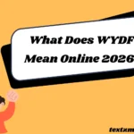 What Does WYDF Mean Online