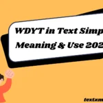 WDYT in Text: Simple Meaning & Use 2026