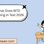 What Does WTD Meaning in Text