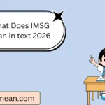 What Does IMSG Mean in text