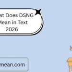 What Does DSNG Mean in Text