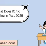 What Does IONK Meaning in Text